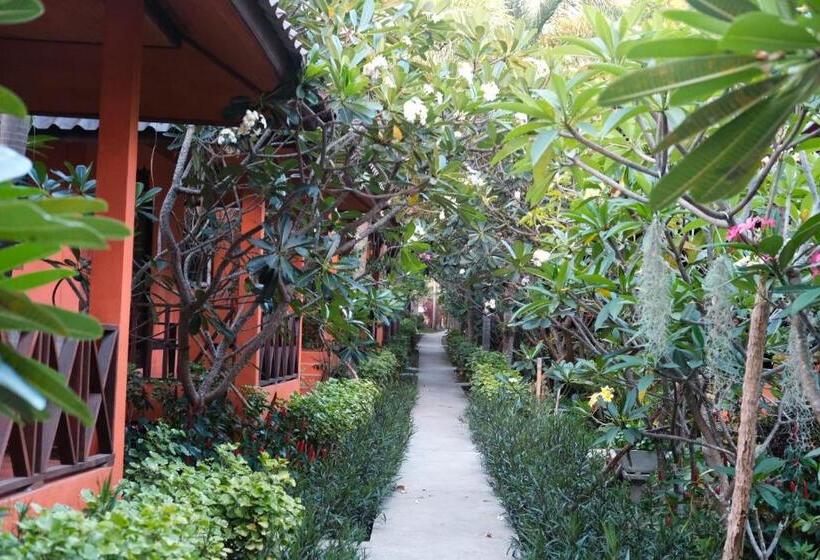 בית מלון כפרי Seashell Resort Hostel Koh Tao