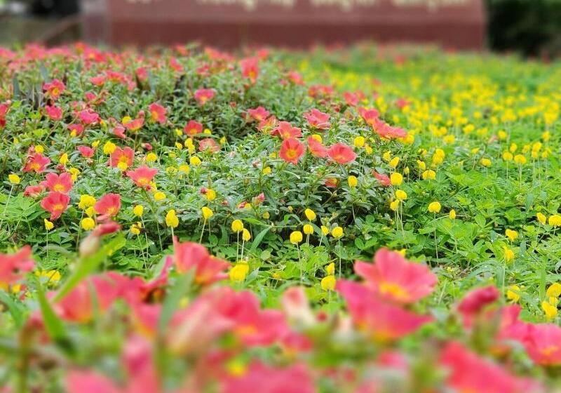 هتل Phu Cuong Beach