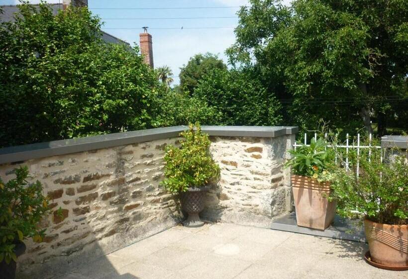 بنسيون La Maison De Claire