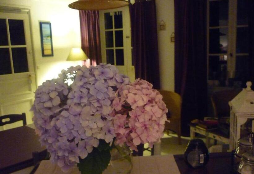 بنسيون La Maison De Claire