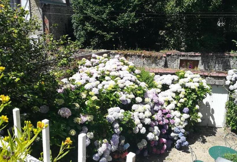 بنسيون La Maison De Claire