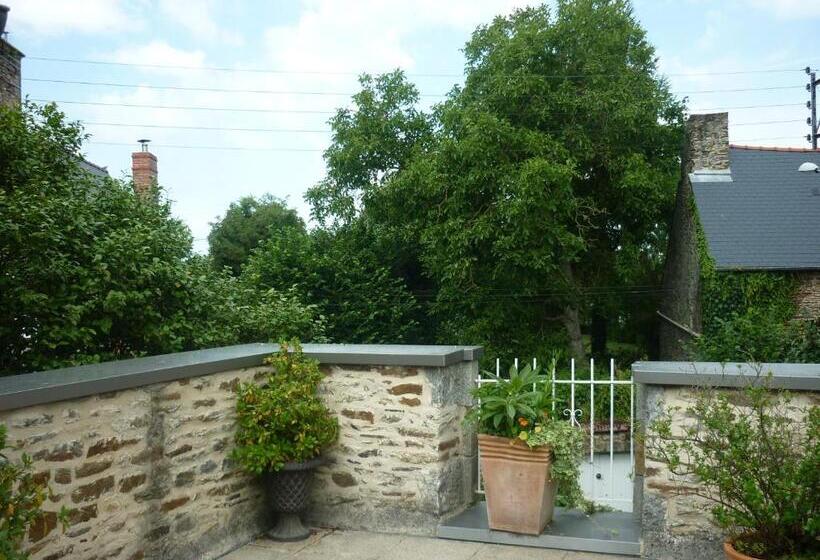 بنسيون La Maison De Claire