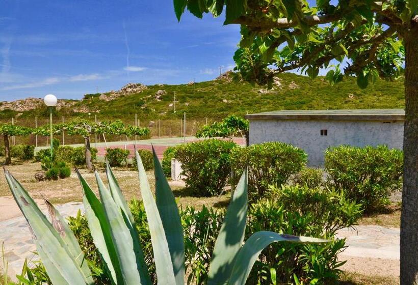 住所  Domaine Bocca Di Feno