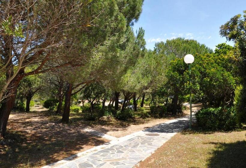 住所  Domaine Bocca Di Feno