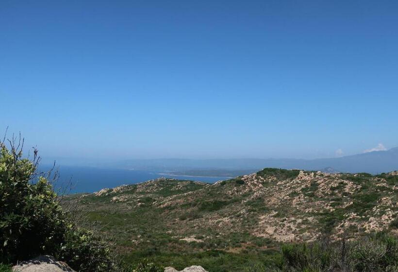 住所  Domaine Bocca Di Feno