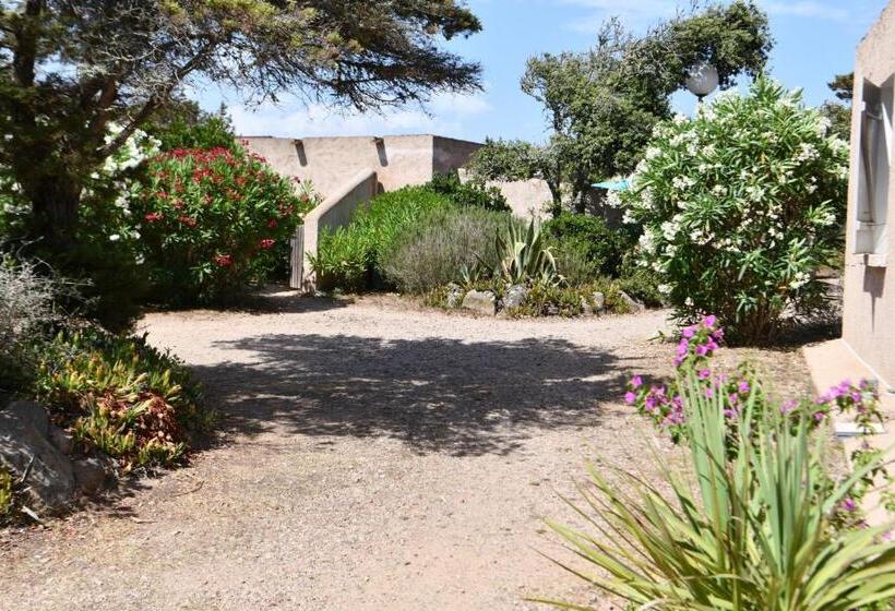 住所  Domaine Bocca Di Feno