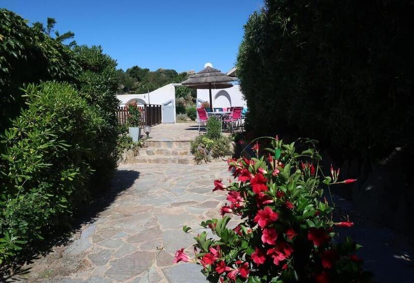 住所  Domaine Bocca Di Feno