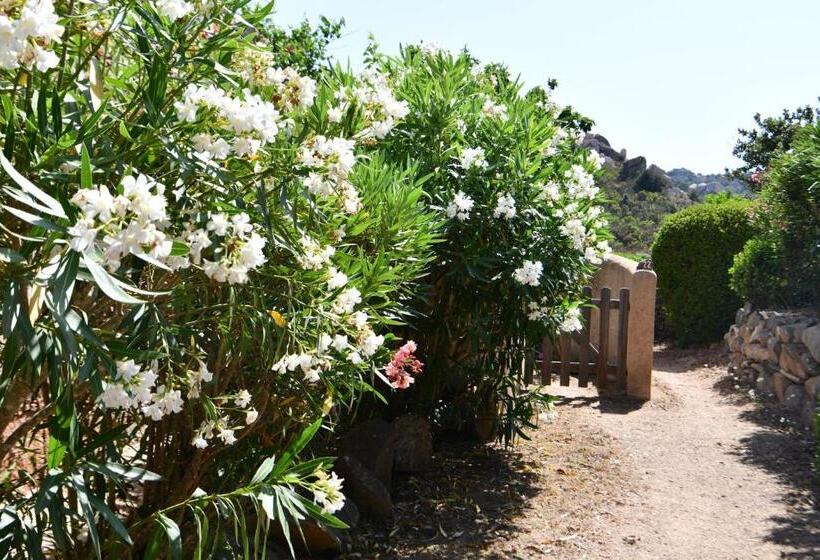 住所  Domaine Bocca Di Feno