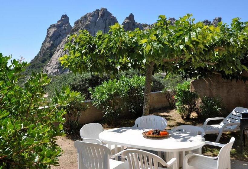 住所  Domaine Bocca Di Feno