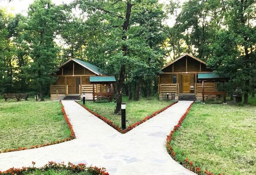 Sakarya Il Ormani Tabiat Parki Kampi