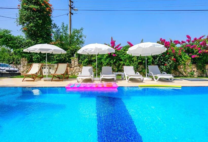 Anatolian Apartments