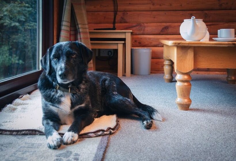 Armadale Castle Cabins