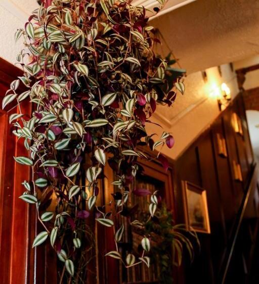 Aamiaismajoitus (B&B) Avarest House Bb Adults Only