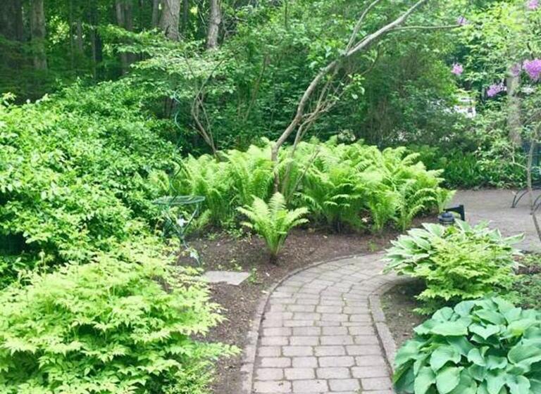 ベッドアンドブレックファースト Elms Of Camden