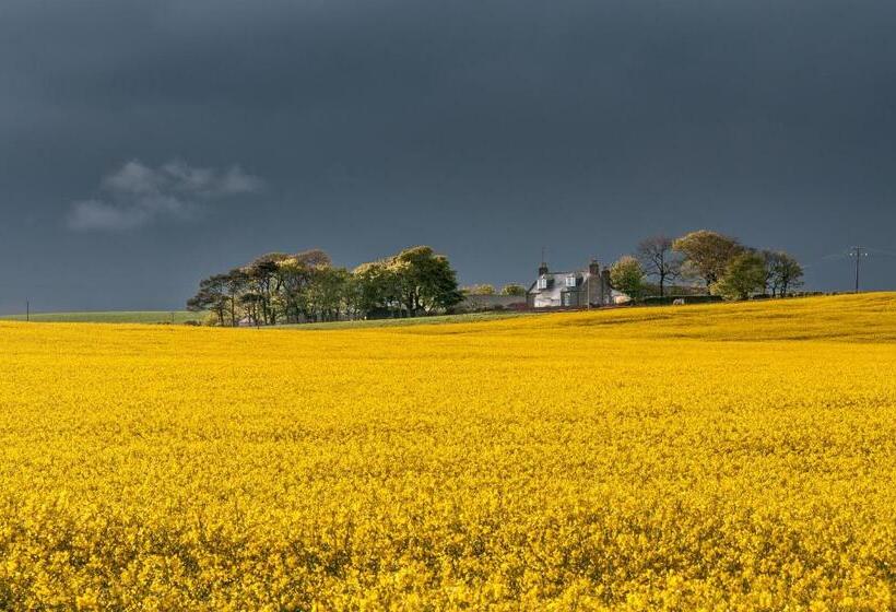 צימר Rooms At 31