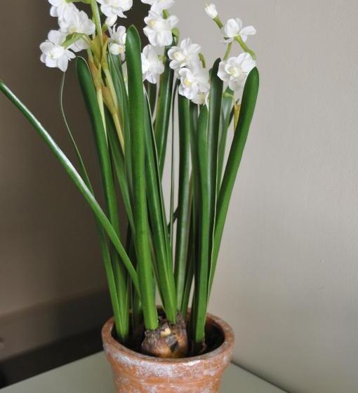 مبيت وإفطار The Red Lion Inn