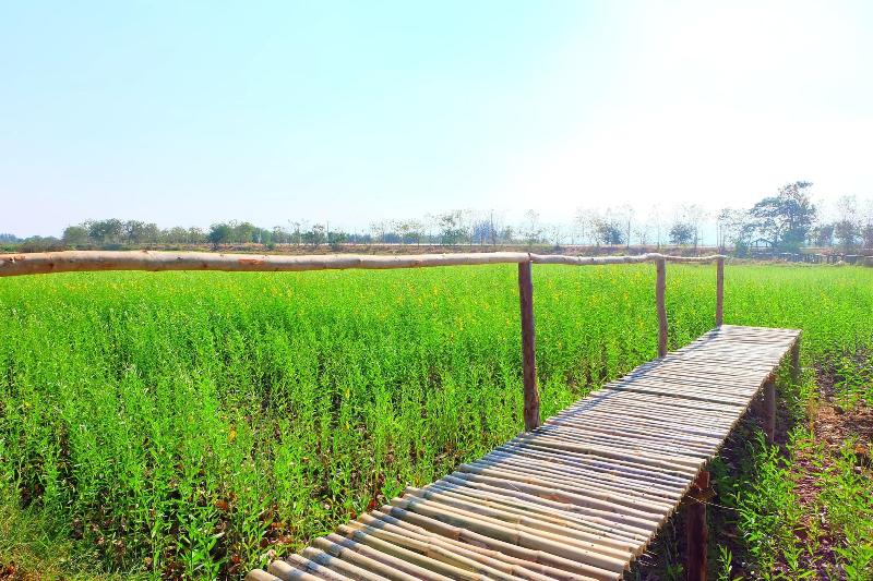 酒店 Baan Fa La Mai Resort