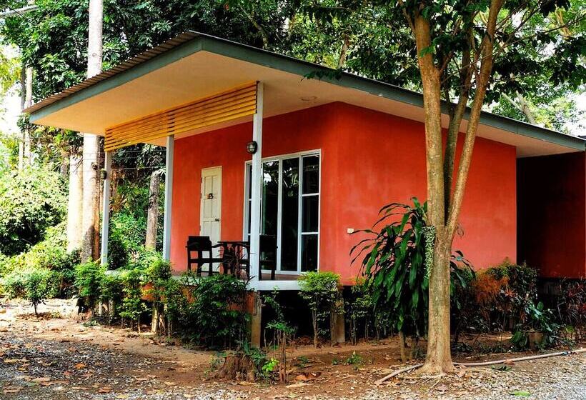 בית מלון כפרי Baan Tonmai Resort