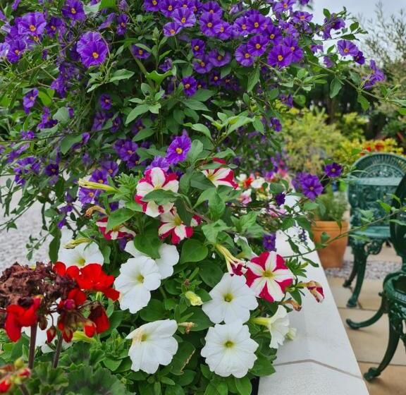 Balcary Bay Country House Hotel