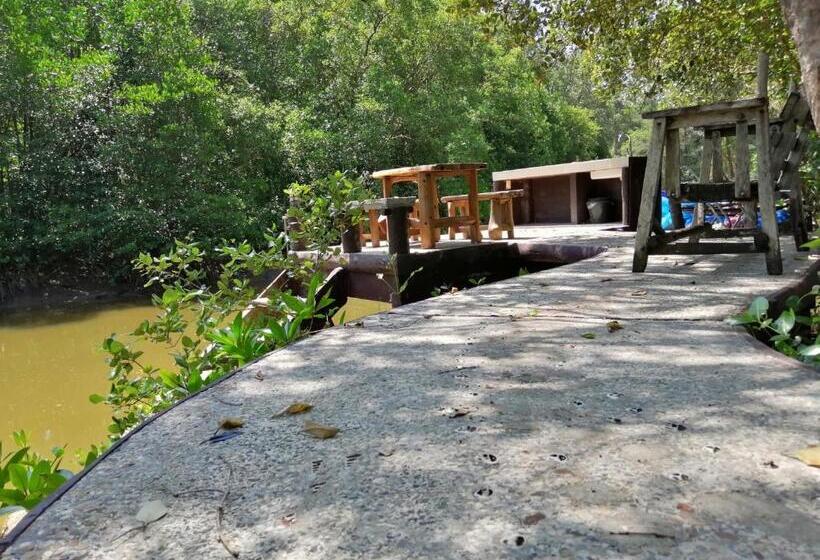 Hotel Fisherman S Hut , ขนำชาวเลโฮมสเตย์