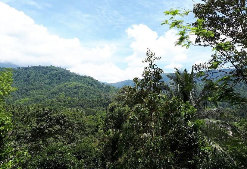 호텔 Lace House Homestay