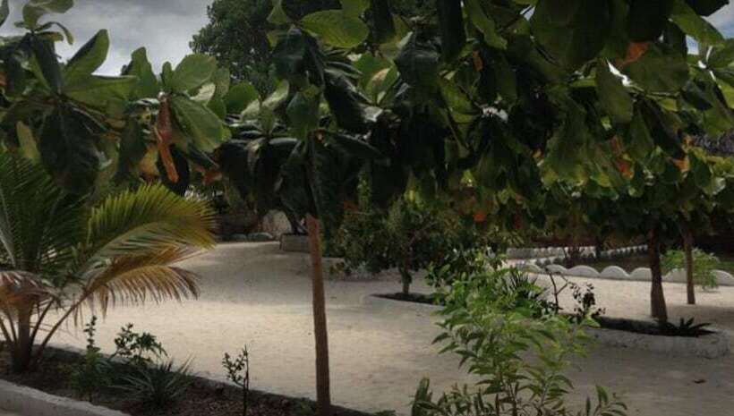 Hotel Mfumbwi Backpacker Lodge