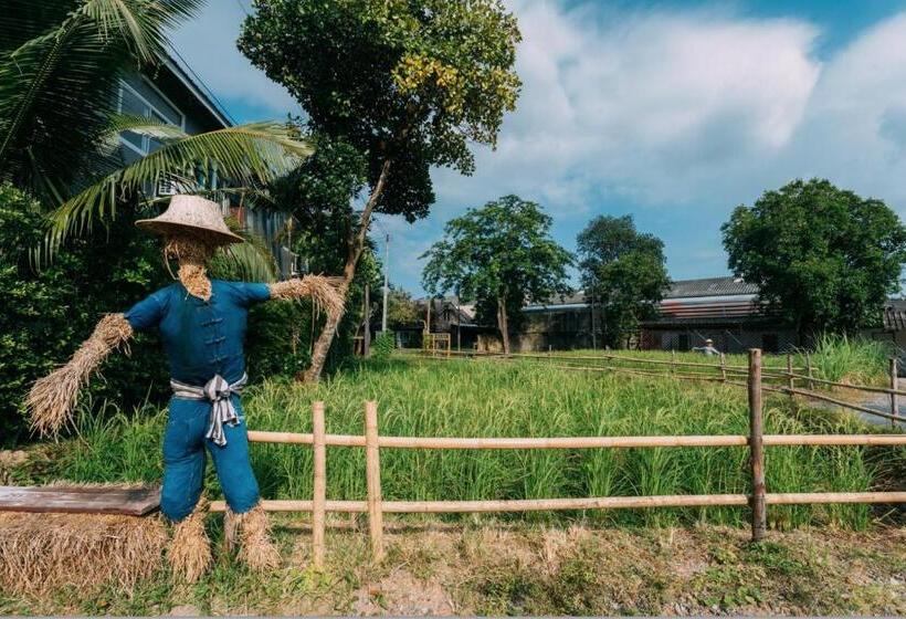 فندق Phuket Nonnita Boutique Resort   Sha Plus