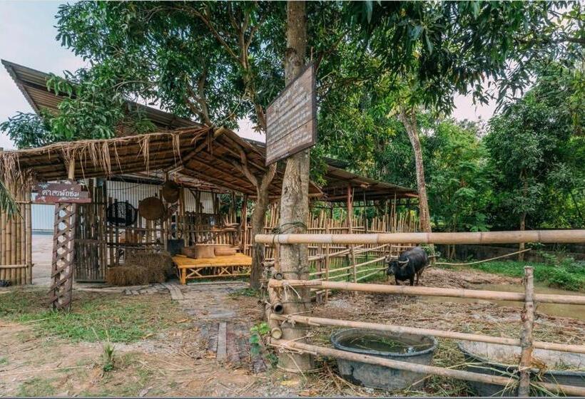 فندق Phuket Nonnita Boutique Resort   Sha Plus