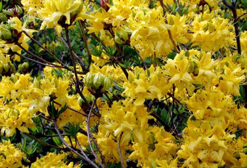 Kirklands Bed & Breakfast