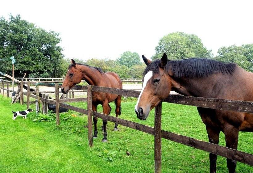 Little Rushbrook Cottages