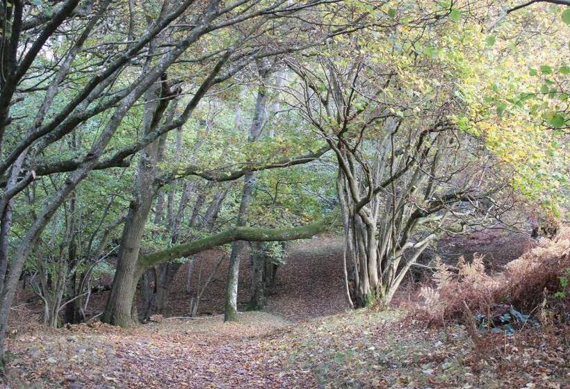 Pardlestone Farm B&b