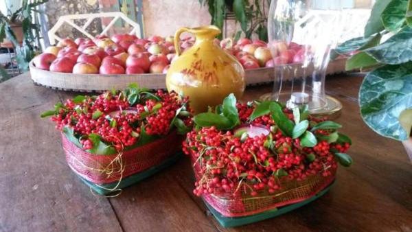 پانسیون Domaine Mongiron