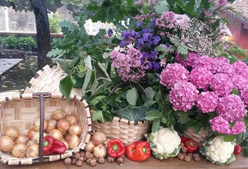 پانسیون Domaine Mongiron