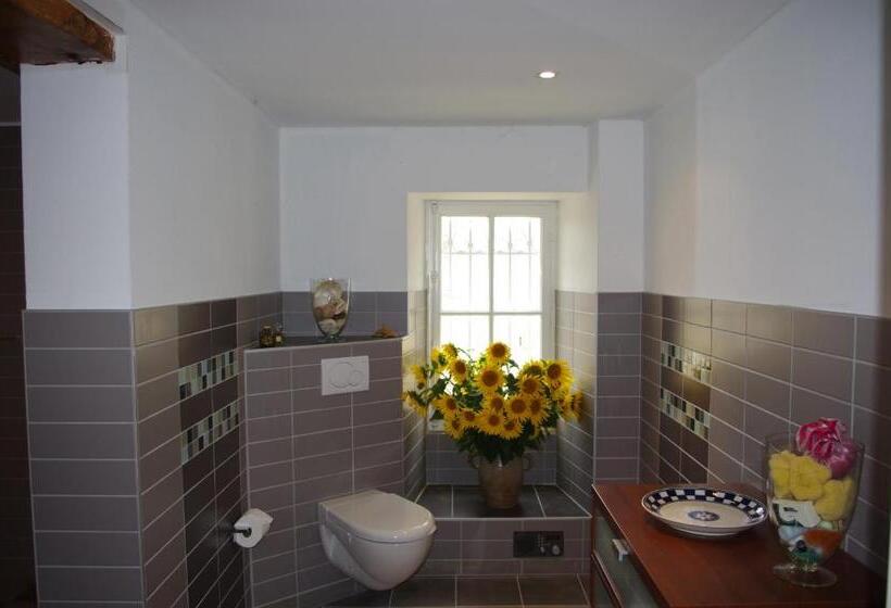 پانسیون Domaine Mongiron