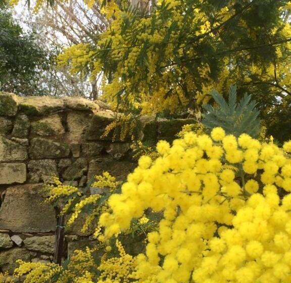 پانسیون Domaine Mongiron