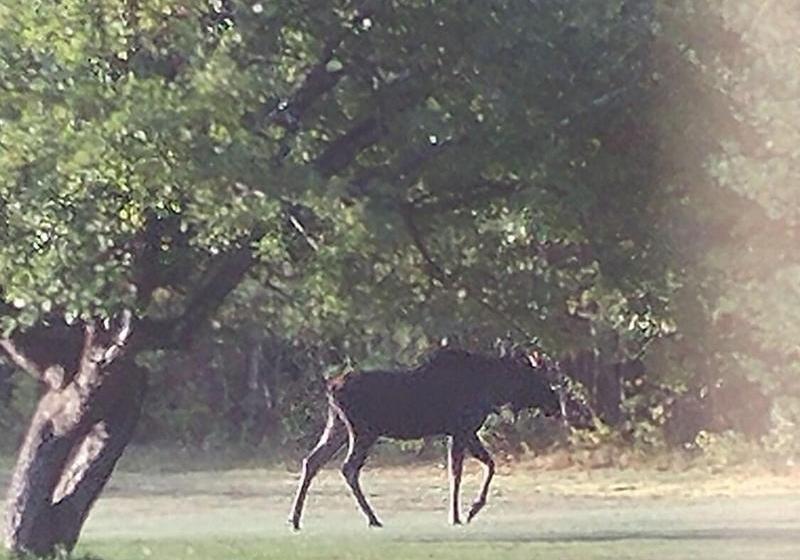 بنسيون Franconia Notch Guest House