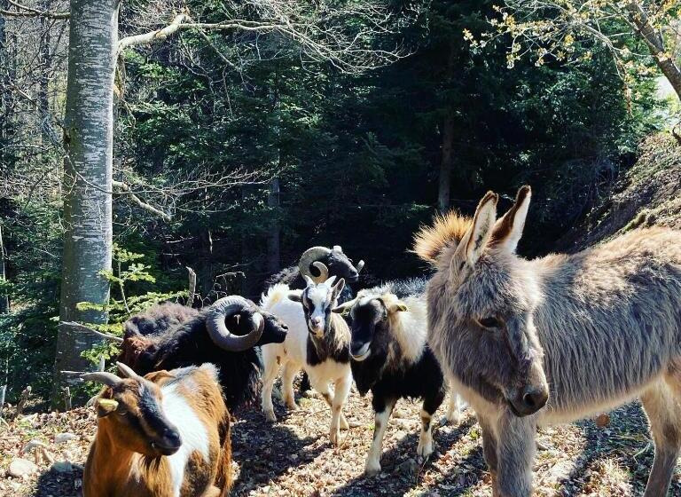 펜션 La Combe Fleurie Appartements & Chambres