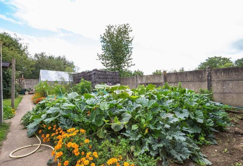 بنسيون Le Nid D'omer