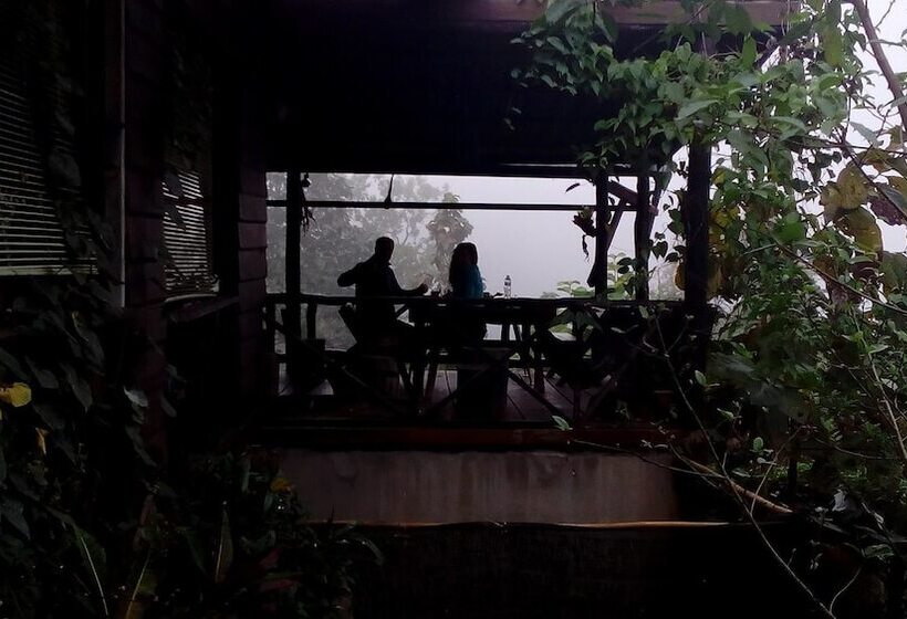پانسیون The Local Story Home Stay 1
