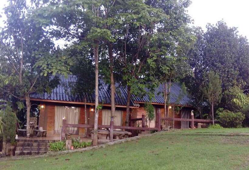 بنسيون The Local Story Home Stay 1