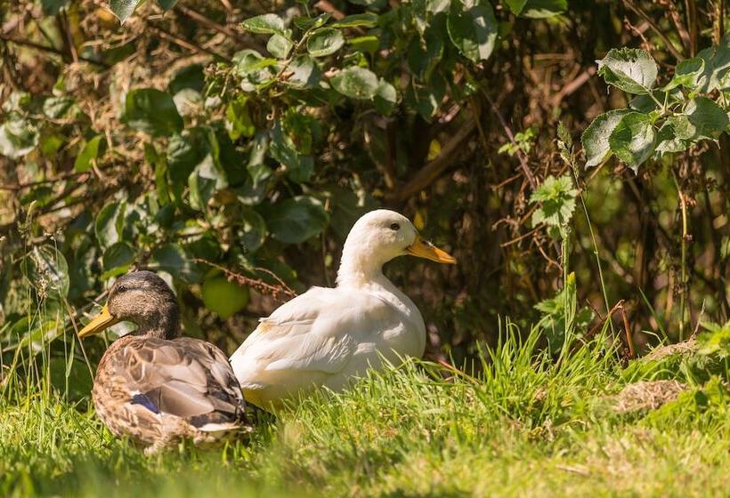 Beau Vallon Holiday Apartments