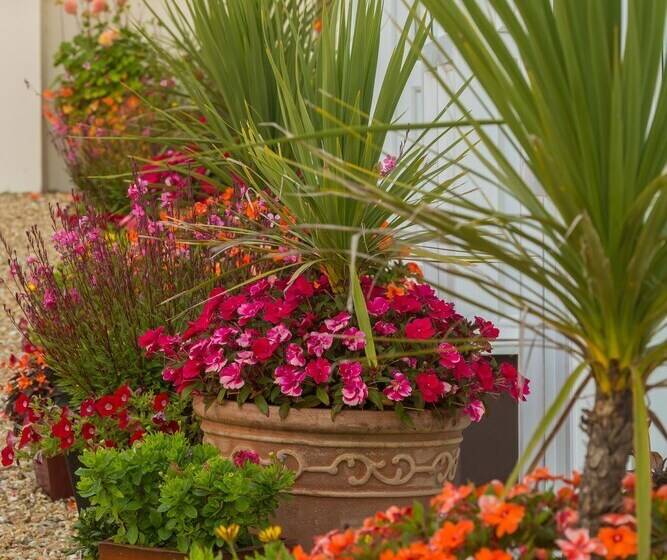 Beau Vallon Holiday Apartments