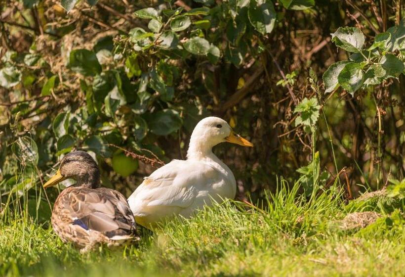 Beau Vallon Holiday Apartments