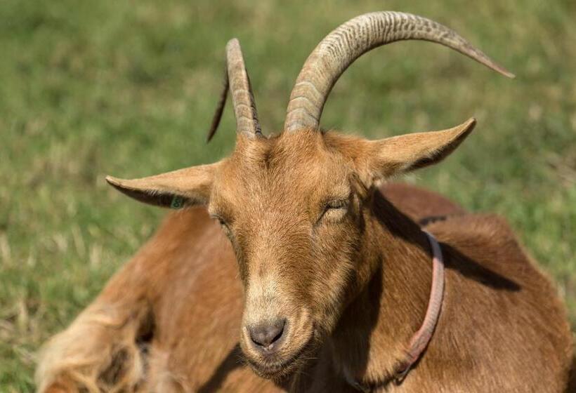 Beau Vallon Holiday Apartments