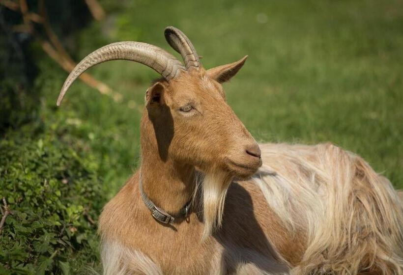 Beau Vallon Holiday Apartments