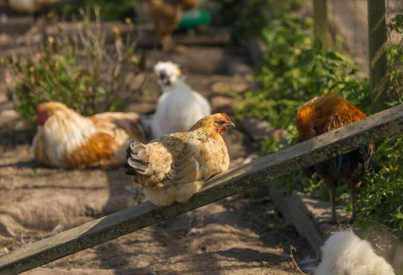 Beau Vallon Holiday Apartments