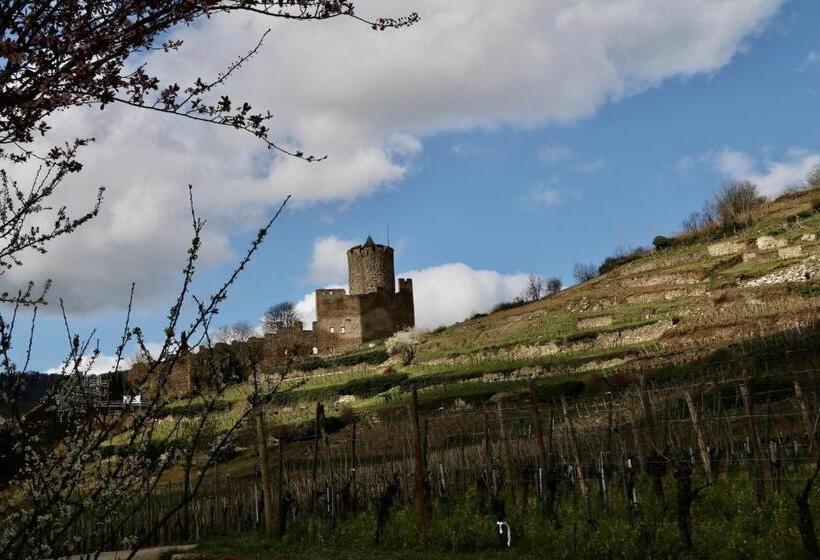 مبيت وإفطار Chambres D Hôtes Les Ecrins