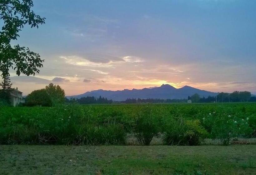 ベッドアンドブレックファースト Le Domaine De Tini