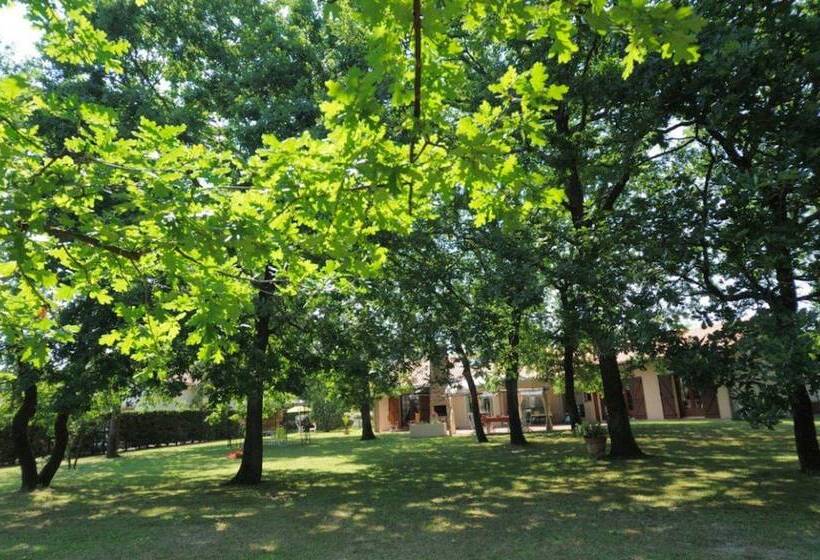 צימר Les Anthemis