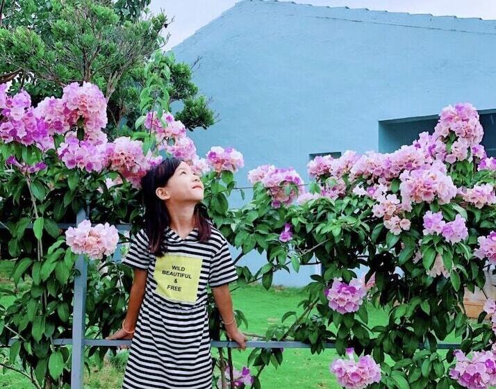 تختخواب و صبحانه Mooning The Hill